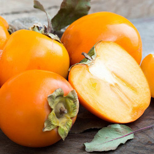 Хурма Виргинская крупная изображение 1 артикул 4268