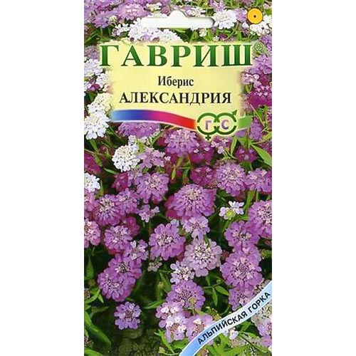 Иберис Александрия, смесь окрасок Гавриш изображение 1 артикул 92052