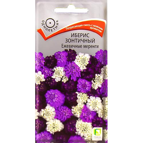 Иберис Ежевичные меренги, смесь окрасок Поиск изображение 1 артикул 92982