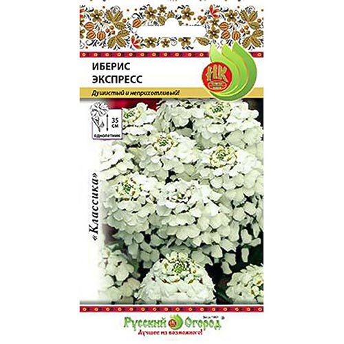 Иберис Экспресс НК изображение 1 артикул 92513