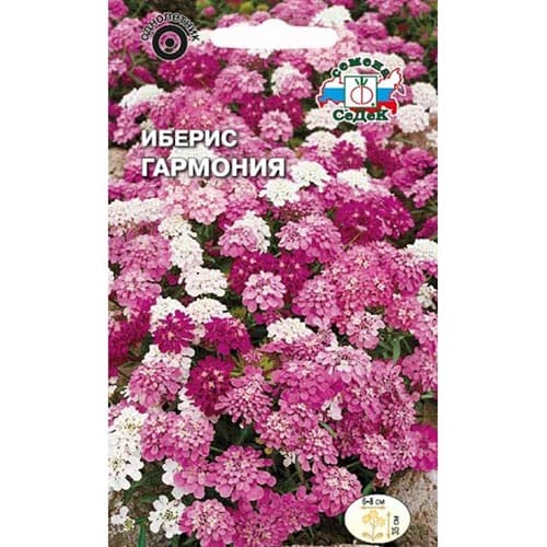 Иберис Гармония Седек изображение 1 артикул 93785