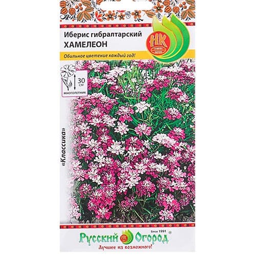 Иберис Гибралтарский хамелеон НК изображение 1 артикул 92509
