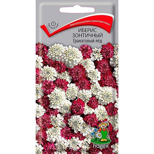 Иберис Гранатовый лед, смесь окрасок Поиск изображение 1 артикул 92981