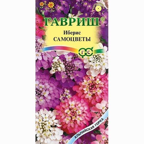 Иберис Самоцветы, смесь окрасок Гавриш изображение 1 артикул 73842