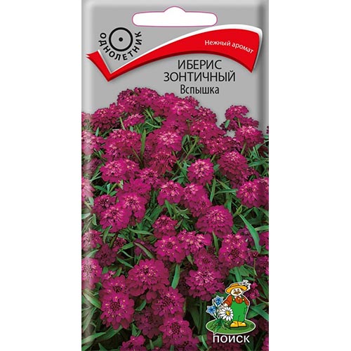 Иберис Вспышка Поиск изображение 1 артикул 92980