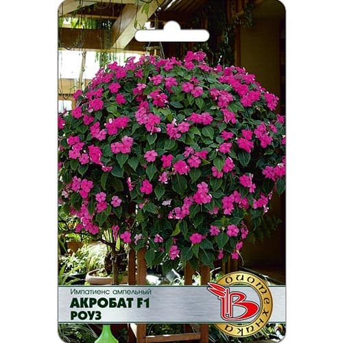 Импатиенс Акробат Роуз F1 Биотехника изображение 1 артикул 91584