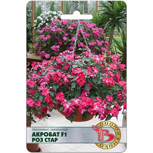 Импатиенс ампельный Акробат Роз Стар F1 Биотехника артикул фото 1 Импатиенс ампельный Акробат Роз Стар F1 Биотехника изображение 1 артикул 74087