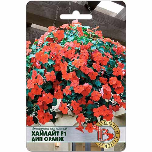 Импатиенс Хайлайт Дип Оранж F1 Биотехника изображение 1 артикул 74808