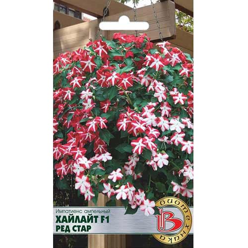 Импатиенс ампельный Хайлайт Ред Стар F1 Биотехника артикул фото 1 Импатиенс ампельный Хайлайт Ред Стар F1 Биотехника изображение 1 артикул 74810