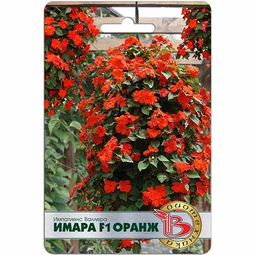 Импатиенс Валлера Имара Оранж F1 Биотехника изображение 1 артикул 84626