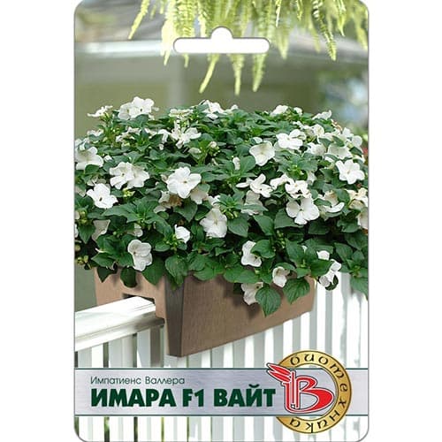 Импатиенс Валлера Имара Вайт F1 Биотехника изображение 1 артикул 91585