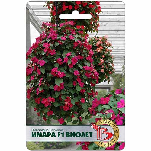 Импатиенс Валлера Имара Виолет F1 Биотехника изображение 1 артикул 84625