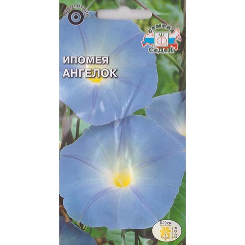 Ипомея Ангелок Седек изображение 1 артикул 93788