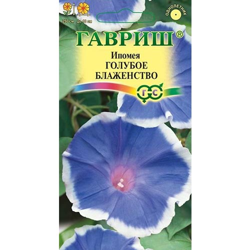 Ипомея Голубое блаженство Гавриш изображение 1 артикул 92058