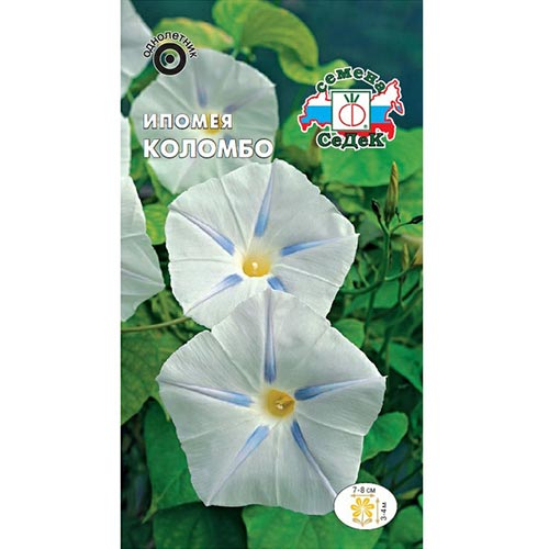 Ипомея Коломбо Седек изображение 1 артикул 93790