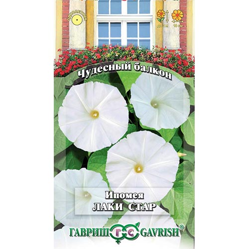 Ипомея Лаки Стар Гавриш изображение 1 артикул 92059