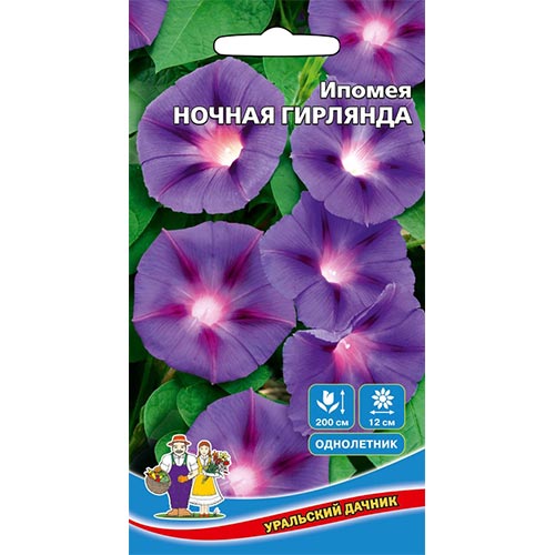 Ипомея Ночная гирлянда Уральский дачник изображение 1 артикул 94800