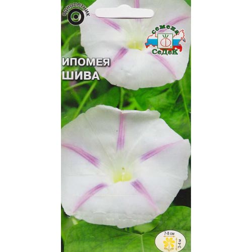 Ипомея Шива Седек изображение 1 артикул 93793
