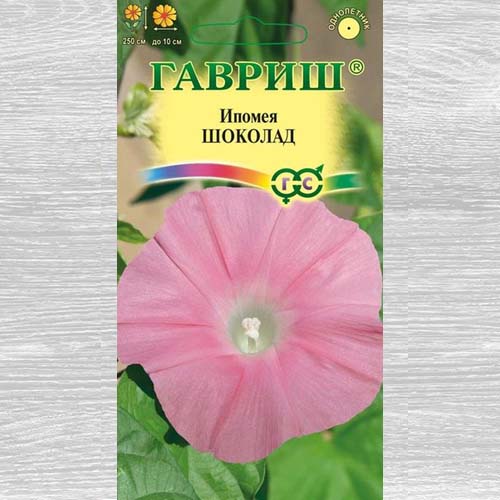 Ипомея Шоколад Гавриш изображение 1 артикул 73846