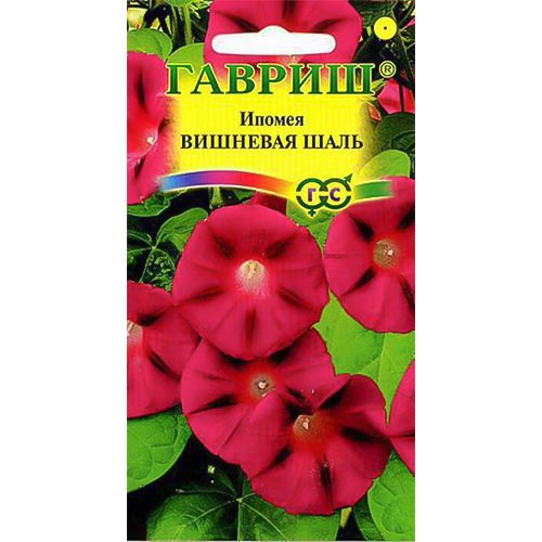 Ипомея Вишневая шаль Гавриш изображение 1 артикул 92057