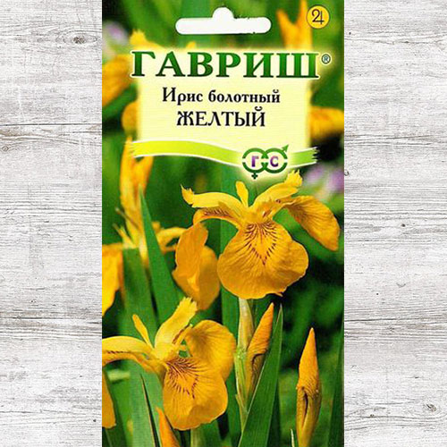 Ирис болотный Желтый Гавриш изображение 1 артикул 71181