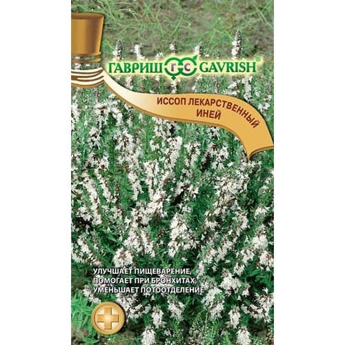 Иссоп Иней Гавриш изображение 1 артикул 91685