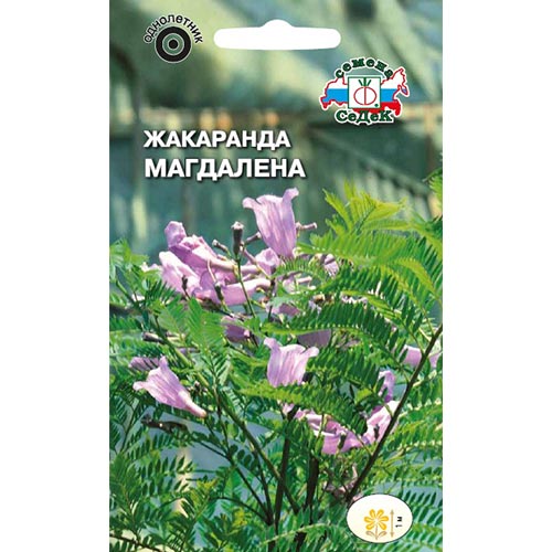 Жакаранда Магдалена Седек артикул фото 1 Жакаранда Магдалена Седек изображение 1 артикул 93784
