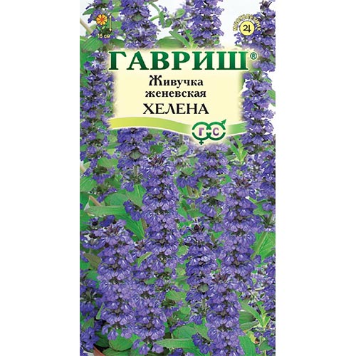 Живучка Хелена Гавриш изображение 1 артикул 92051