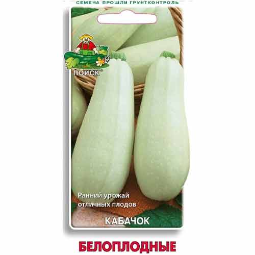 Кабачок Белоплодные Поиск изображение 1 артикул 81862