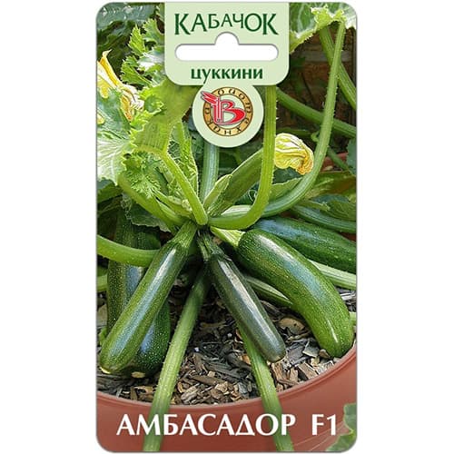 Кабачок цуккини Амбасадор F1 Биотехника артикул фото 1 Кабачок цуккини Амбасадор F1 Биотехника изображение 1 артикул 97284