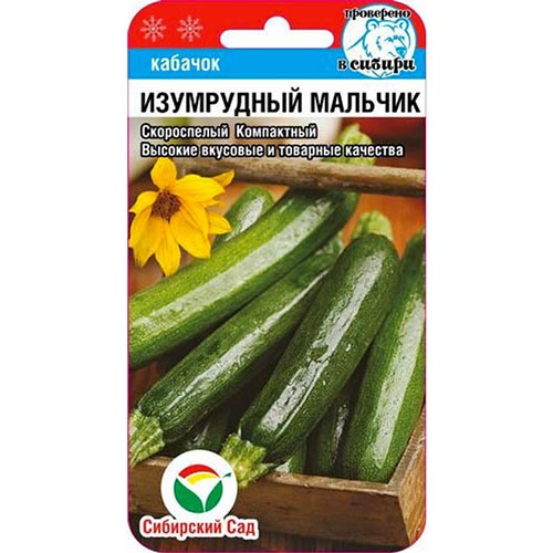 Кабачок Изумрудный мальчик Сибирский сад изображение 1 артикул 94338