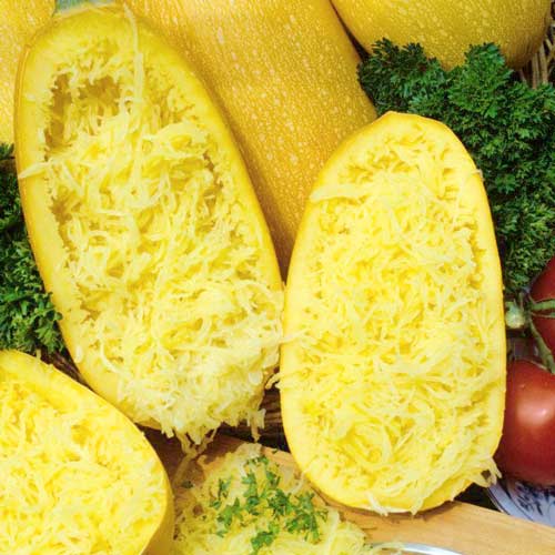 Кабачок спагетти Порционный F1 артикул фото 2 Кабачок спагетти Порционный F1 изображение 2 артикул 65333