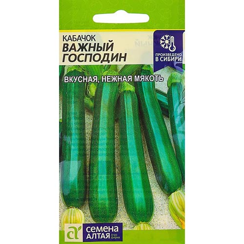 Кабачок Важный господин Семена Алтая изображение 1 артикул 94048