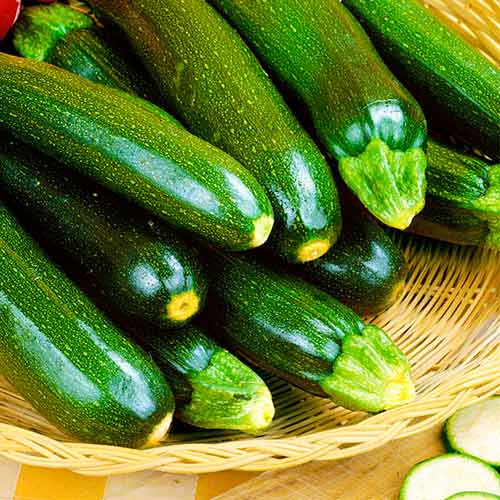 Кабачок Зеленый F1 изображение 1 артикул 71828