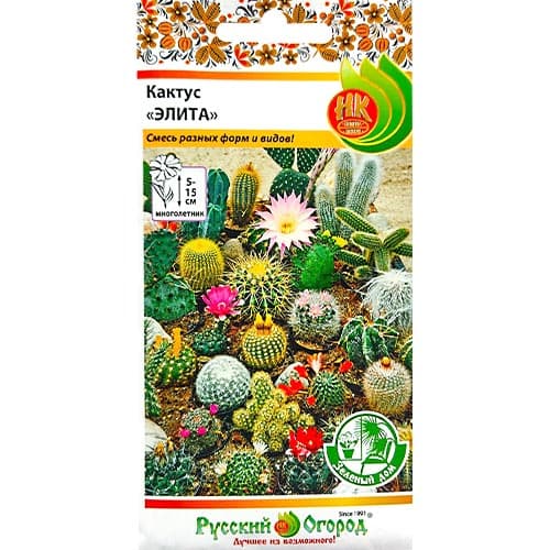 Кактус Элита, смесь окрасок НК изображение 1 артикул 92516