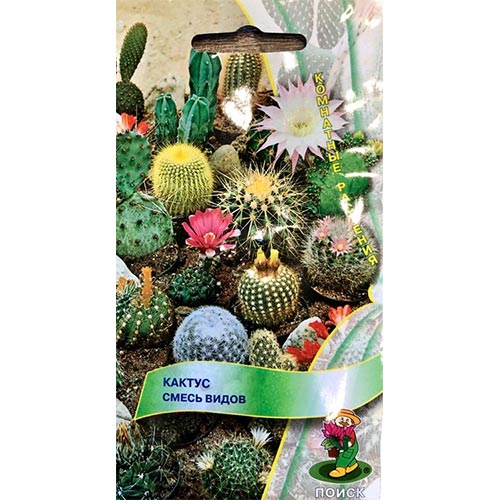 Кактус, смесь окрасок Поиск изображение 1 артикул 92986