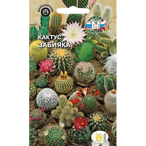 Кактус Забияка, смесь окрасок Седек изображение 1 артикул 93795