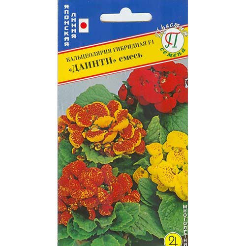 Кальцеолярия Даинти F1, смесь окрасок Престиж артикул фото 1 Кальцеолярия Даинти F1, смесь окрасок Престиж изображение 1 артикул 65846