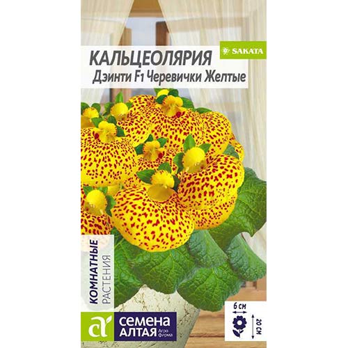 Кальцеолярия Дэинти Черевички желтые F1 Семена Алтая артикул фото 1 Кальцеолярия Дэинти Черевички желтые F1 Семена Алтая изображение 1 артикул 81671