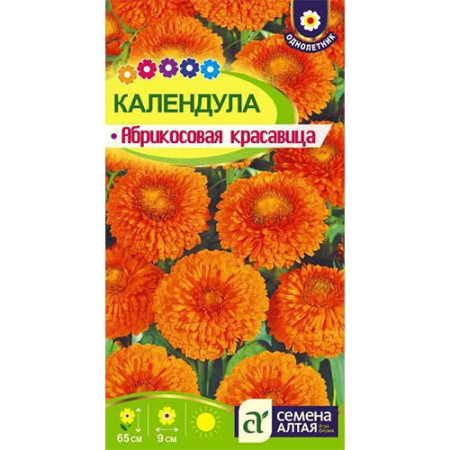 Календула Абрикосовая красавица Семена Алтая артикул фото 1 Календула Абрикосовая красавица Семена Алтая изображение 1 артикул 84751
