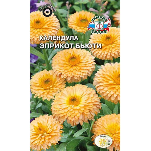 Календула Эприкот Бьюти Седек изображение 1 артикул 93803