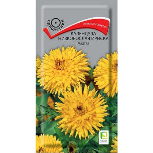 Календула Ириска желтая Поиск изображение 1 артикул 92987
