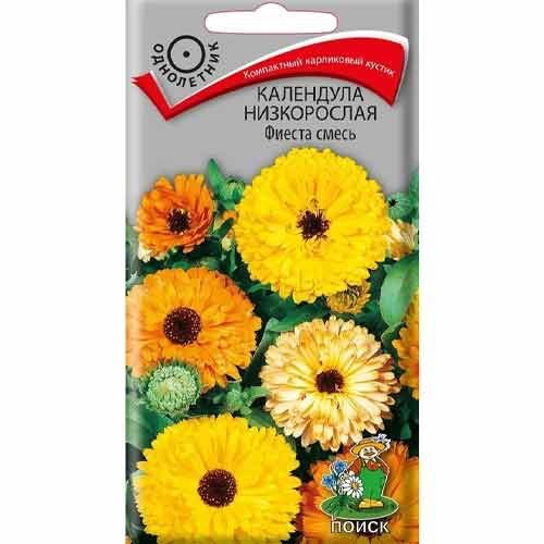 Календула низкорослая Фиеста, смесь окрасок Поиск изображение 1 артикул 97880