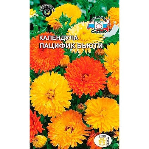 Календула Пацифик Бьюти, смесь окрасок Седек изображение 1 артикул 93801