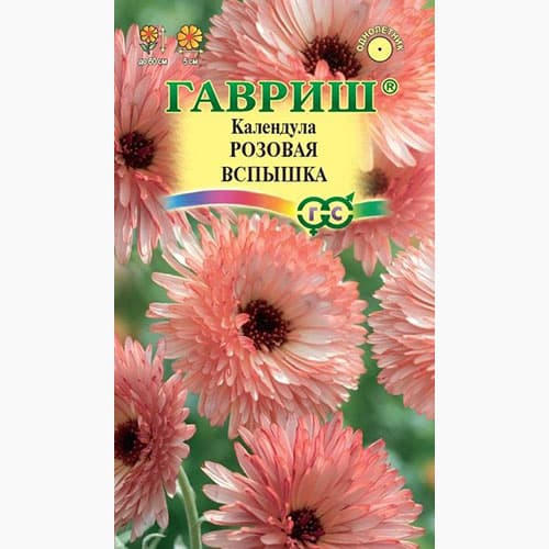 Календула Розовая вспышка Гавриш изображение 1 артикул 97688