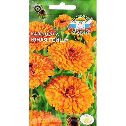 Календула Юная Гейша Седек изображение 1 артикул 93804