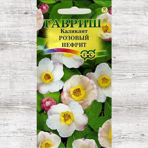 Каликант китайский Розовый нефрит Гавриш изображение 1 артикул 66076