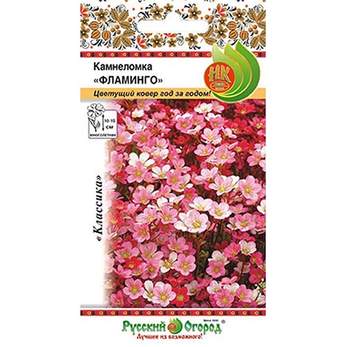Камнеломка Арендса Фламинго, смесь окрасок НК изображение 1 артикул 92521