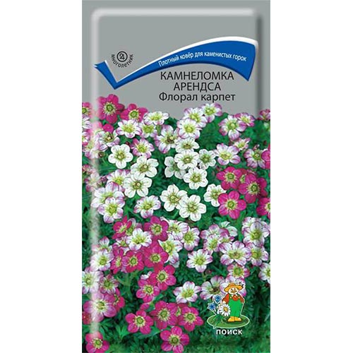 Камнеломка Арендса Флорал карпет Поиск изображение 1 артикул 92994
