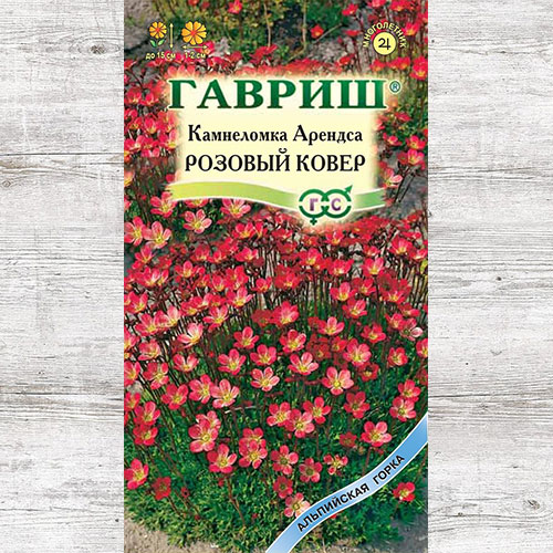 Камнеломка Розовый ковер Гавриш артикул фото 1 Камнеломка Розовый ковер Гавриш изображение 1 артикул 71101